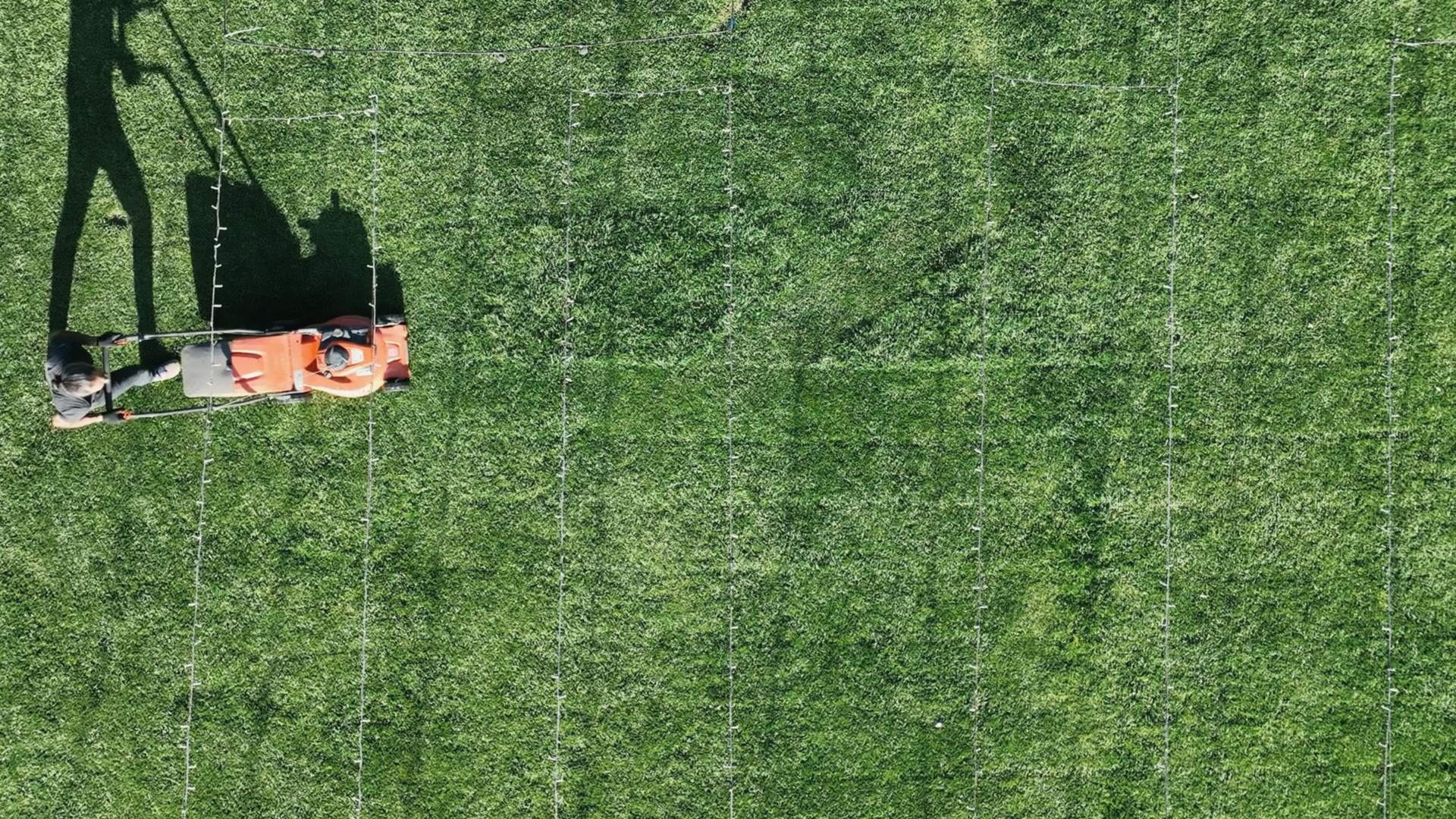 A mower laying fresh stripes across a front lawn, seen from above